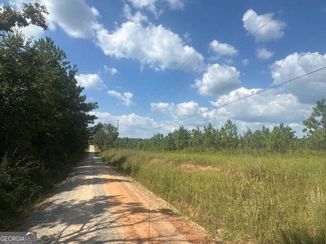 agriculture for sale at 0 Cook Road TRACT #10, Monticello, GA 31064 — photo 3