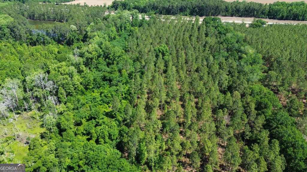 agriculture for sale at 0 Reedy Branch Road, Statesboro, GA 30458 — photo 2