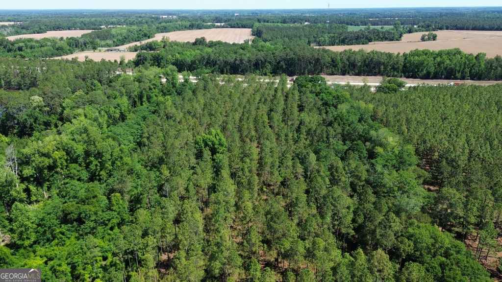 agriculture for sale at 0 Reedy Branch Road, Statesboro, GA 30458 — photo 6