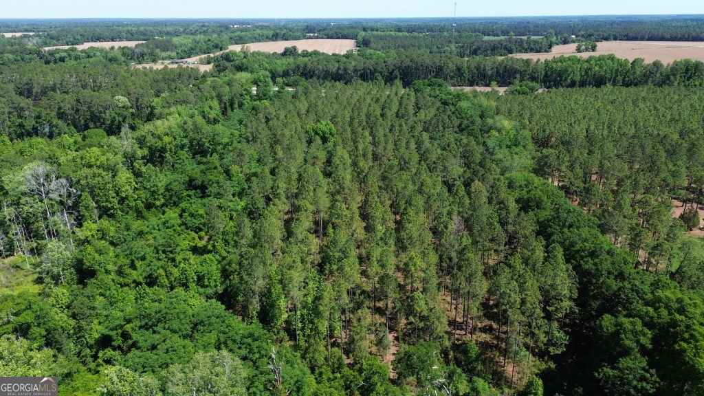 agriculture for sale at 0 Reedy Branch Road, Statesboro, GA 30458 — photo 7