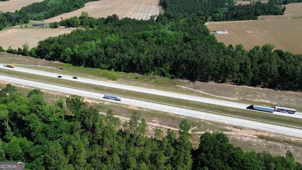 agriculture for sale at 0 Reedy Branch Road, Statesboro, GA 30458 — photo 3