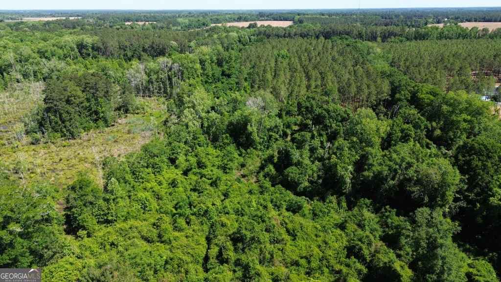 agriculture for sale at 0 Reedy Branch Road, Statesboro, GA 30458 — photo 1 of 18