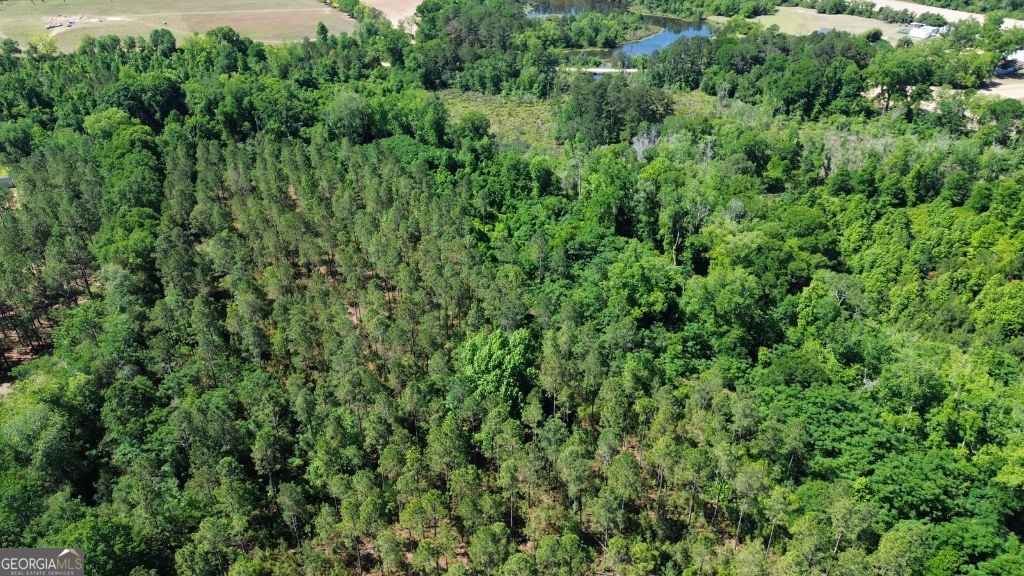 agriculture for sale at 0 Reedy Branch Road, Statesboro, GA 30458 — photo 5