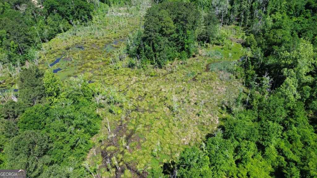 agriculture for sale at 0 Reedy Branch Road, Statesboro, GA 30458 — photo 9