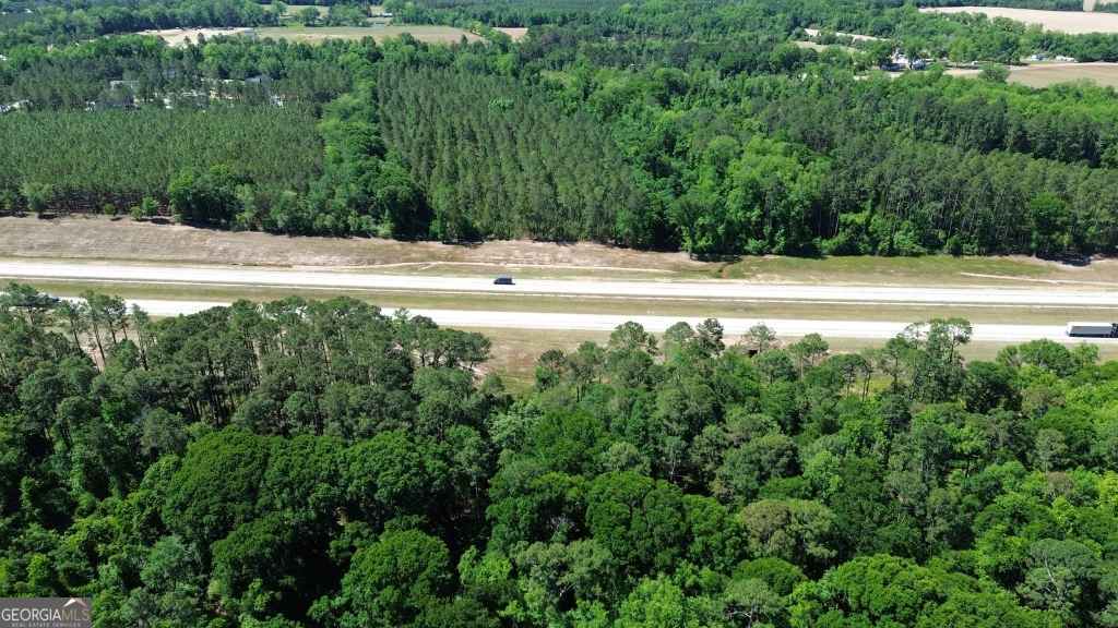 agriculture for sale at 0 Reedy Branch Road, Statesboro, GA 30458 — photo 10