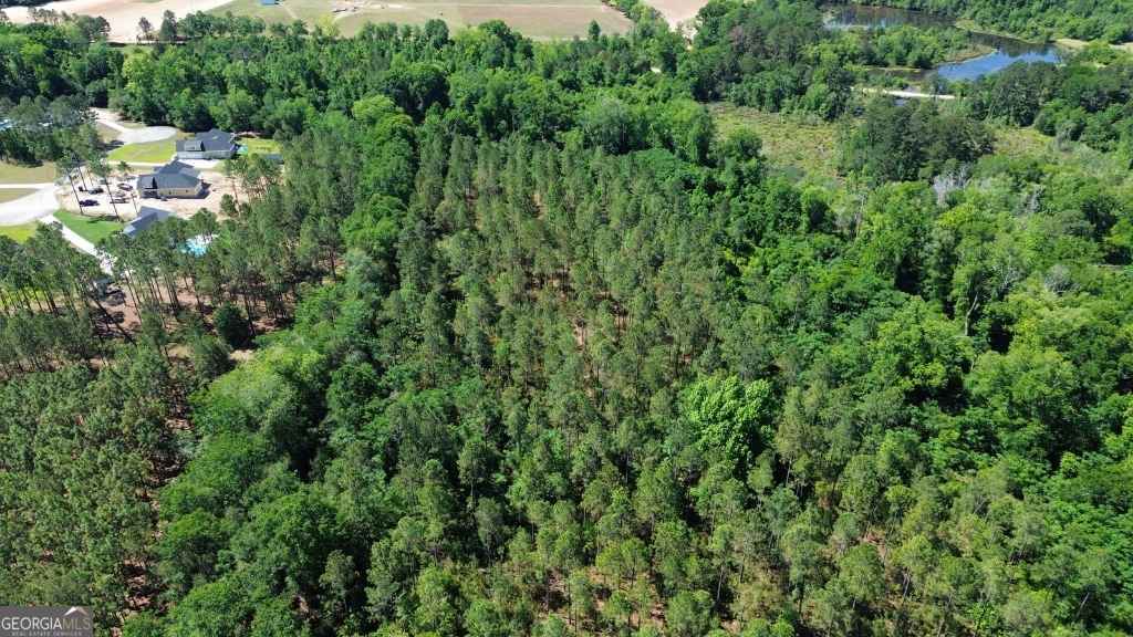 agriculture for sale at 0 Reedy Branch Road, Statesboro, GA 30458 — photo 4