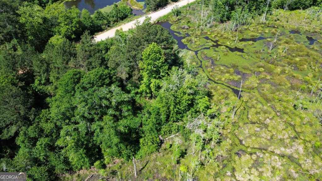 agriculture for sale at 0 Reedy Branch Road, Statesboro, GA 30458 — photo 8