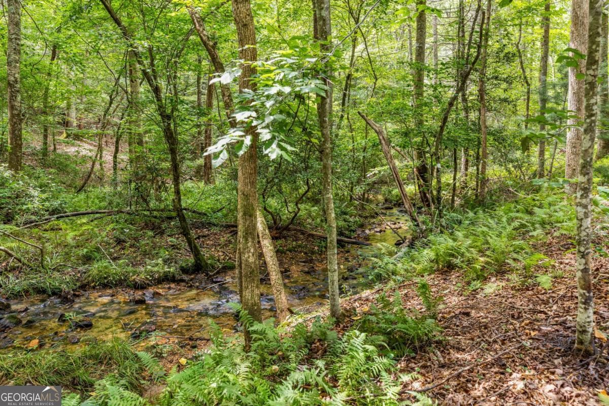 3 bedroom, 3 bathroom, 2,180 sq ft single family residence for sale at 208 Autumn Lane, Blairsville, GA 30512 — photo 6