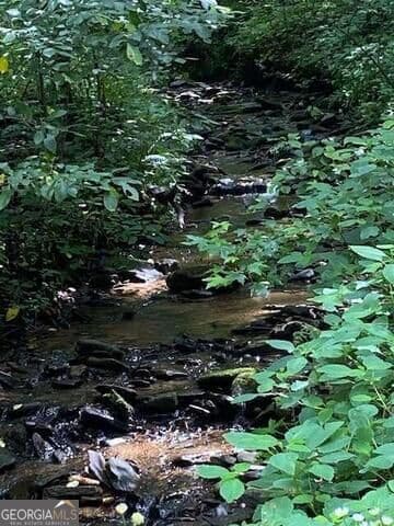 unimproved land for sale at 0 Seven Springs, Jasper, GA 30143 — photo 2