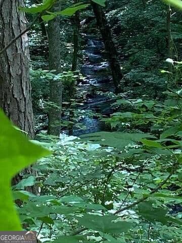 unimproved land for sale at 0 Seven Springs, Jasper, GA 30143 — photo 7