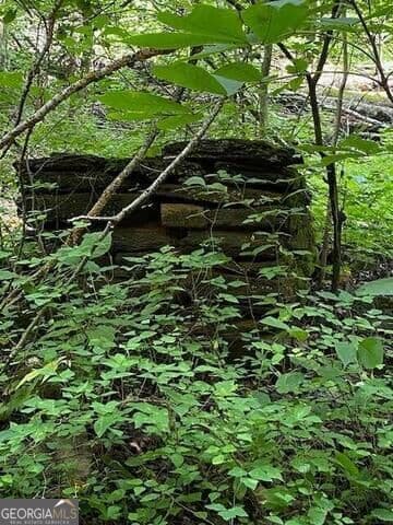 unimproved land for sale at 0 Seven Springs, Jasper, GA 30143 — photo 3