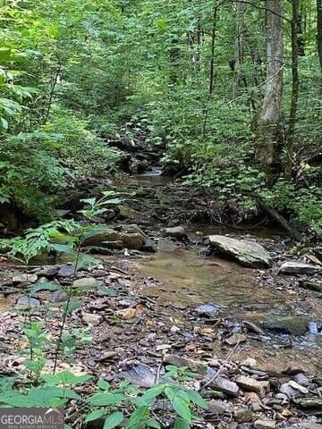 unimproved land for sale at 0 Seven Springs, Jasper, GA 30143 — photo 5