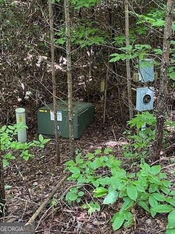 unimproved land for sale at 0 Seven Springs, Jasper, GA 30143 — photo 9