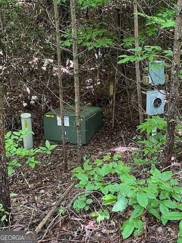 unimproved land for sale at 0 Seven Springs, Jasper, GA 30143 — photo 10