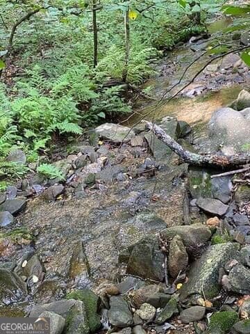 unimproved land for sale at 0 Seven Springs, Jasper, GA 30143 — photo 4
