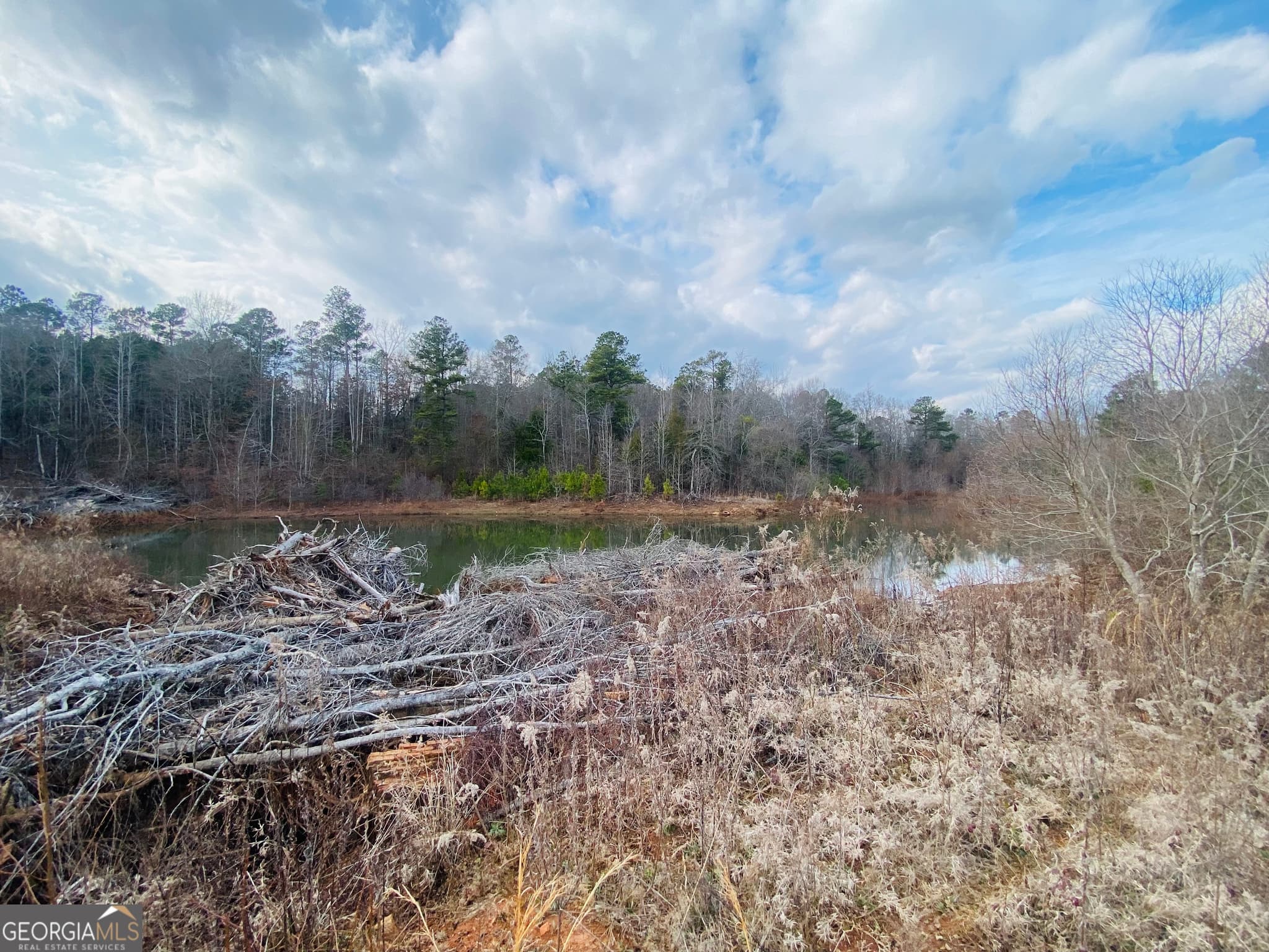 agriculture for sale at 95 Knight Trail, Thomaston, GA 30286 — photo 6