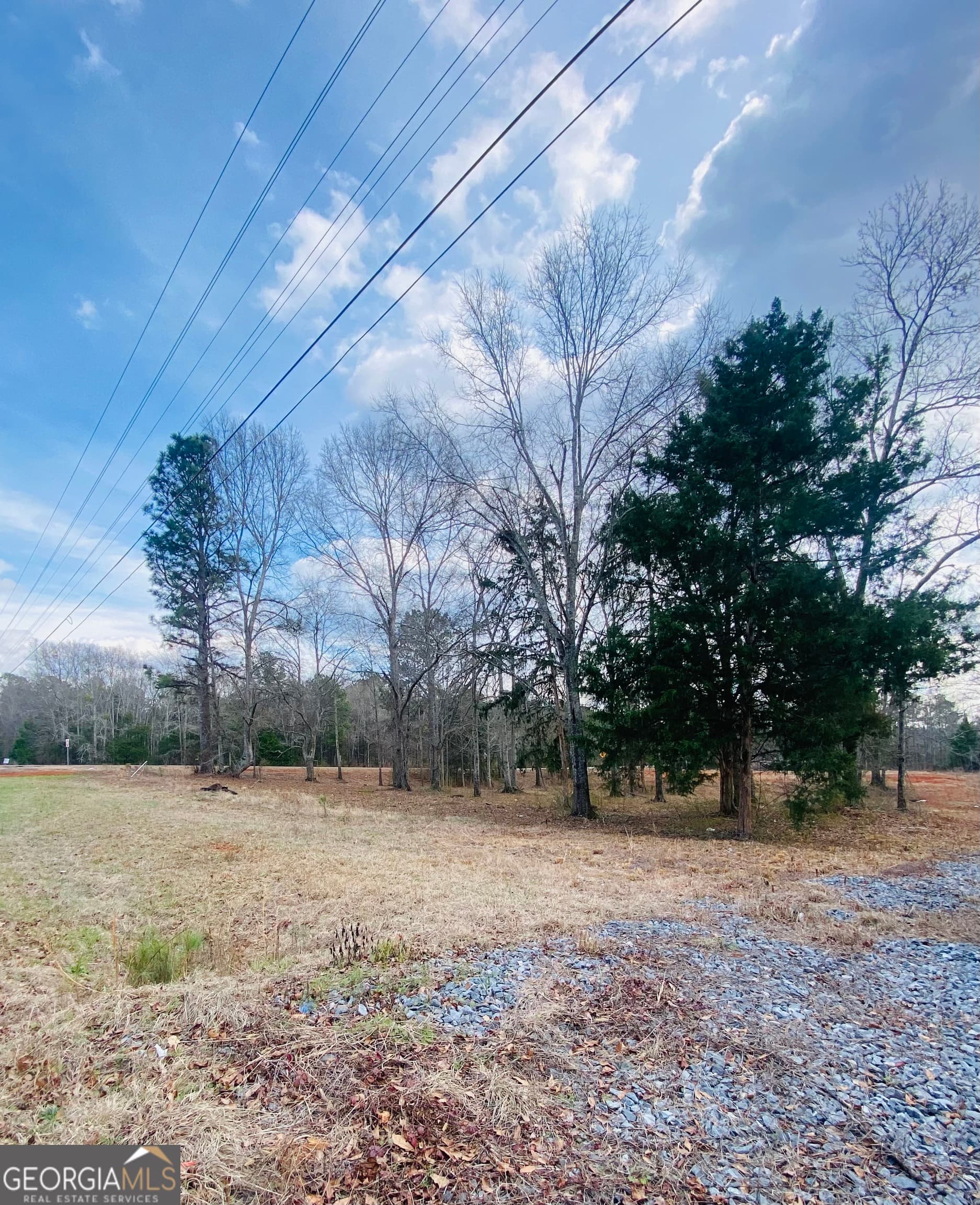 agriculture for sale at 95 Knight Trail, Thomaston, GA 30286 — photo 3