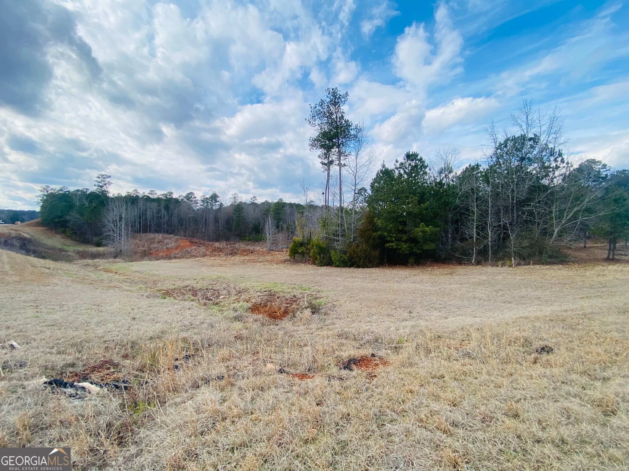 agriculture for sale at 95 Knight Trail, Thomaston, GA 30286 — photo 5