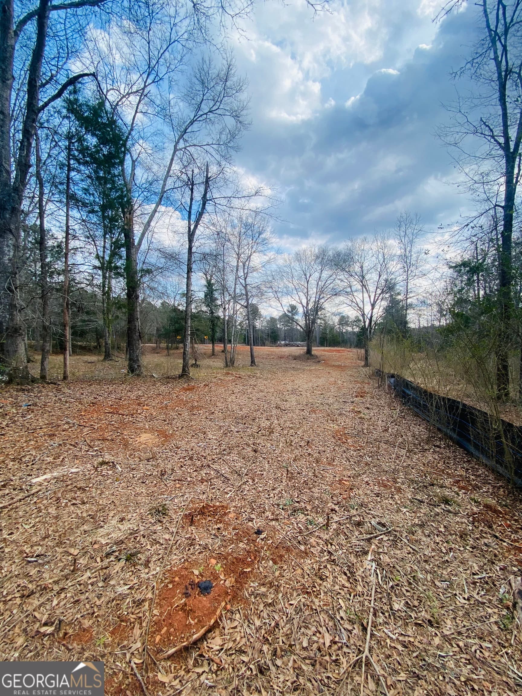 agriculture for sale at 95 Knight Trail, Thomaston, GA 30286 — photo 9