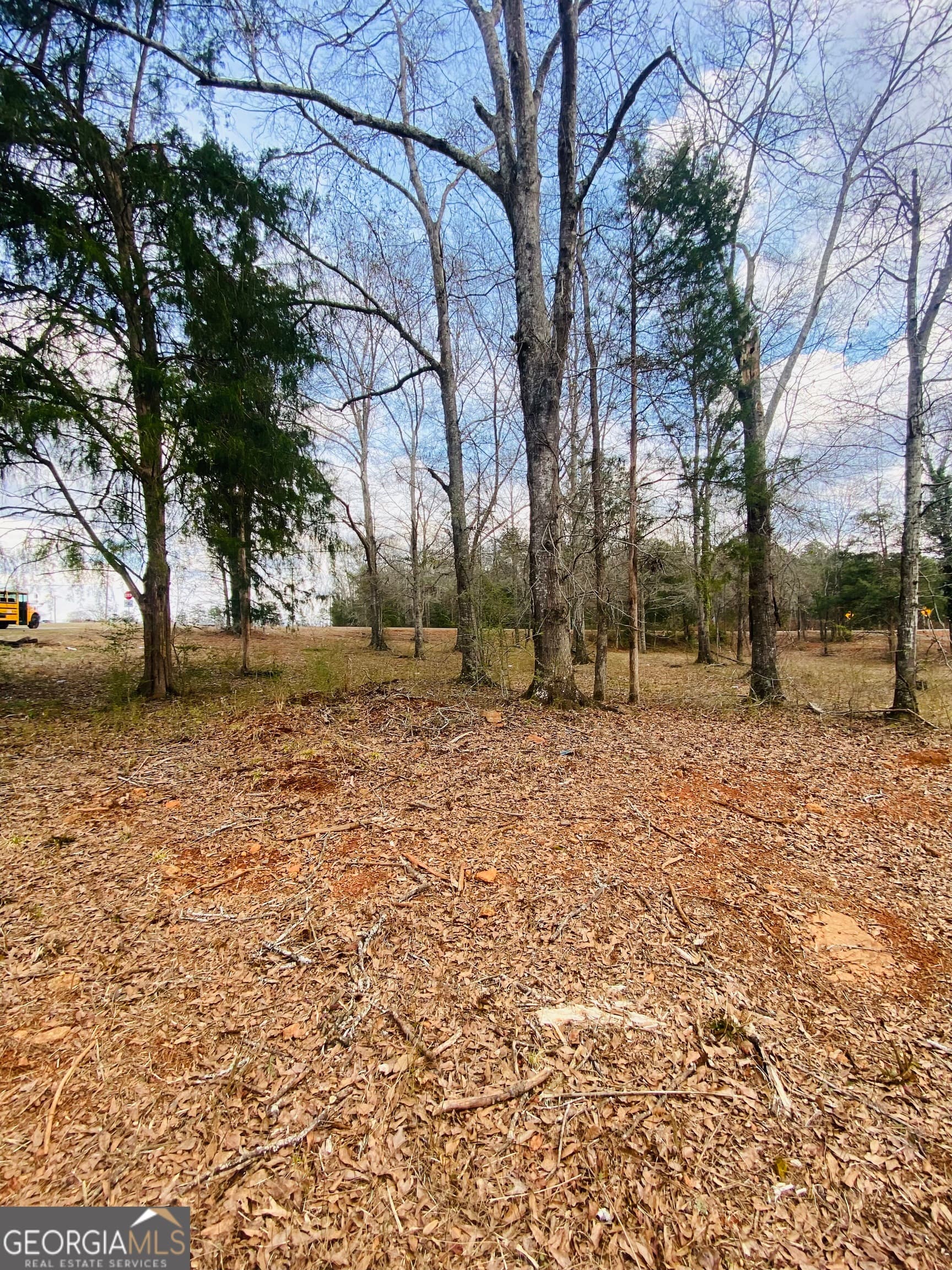agriculture for sale at 95 Knight Trail, Thomaston, GA 30286 — photo 10