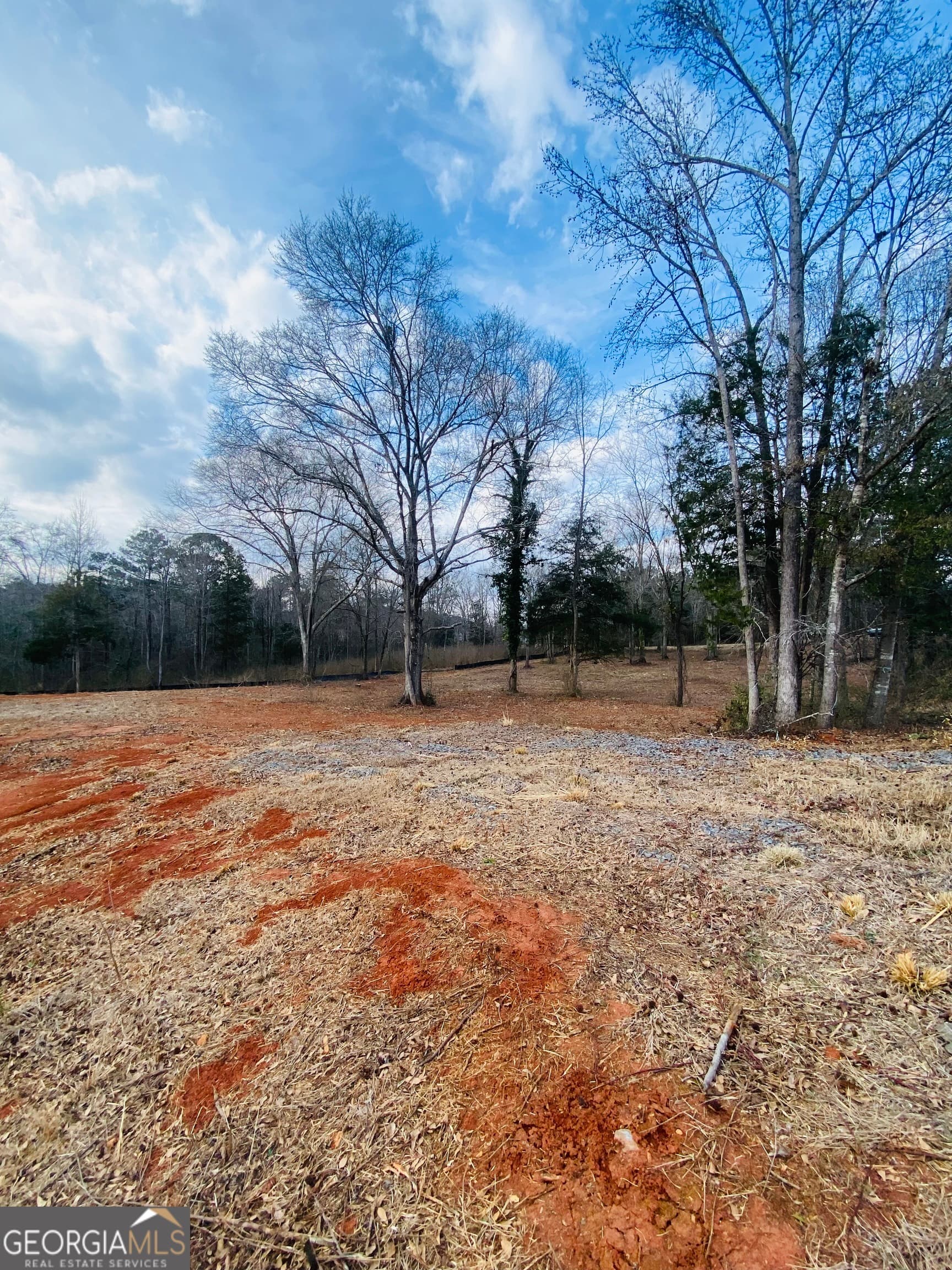 agriculture for sale at 95 Knight Trail, Thomaston, GA 30286 — photo 4