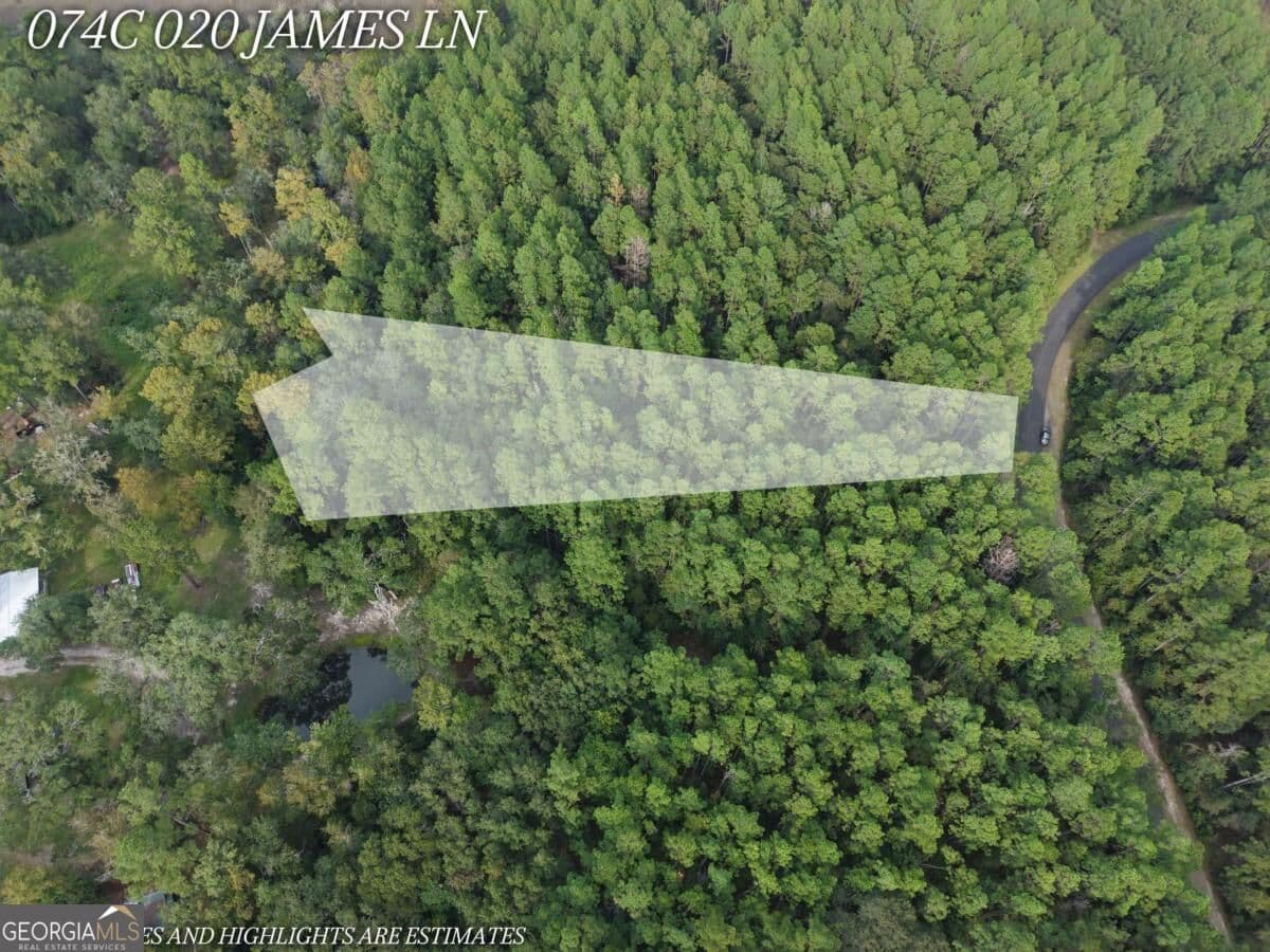 residential lot for sale at LOT 20 James Lane, White Oak, GA 31568 — photo 6