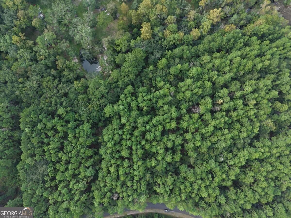 residential lot for sale at LOT 20 James Lane, White Oak, GA 31568 — photo 7