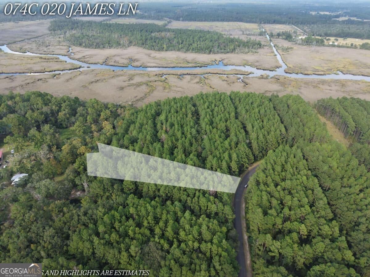 residential lot for sale at LOT 20 James Lane, White Oak, GA 31568 — photo 3
