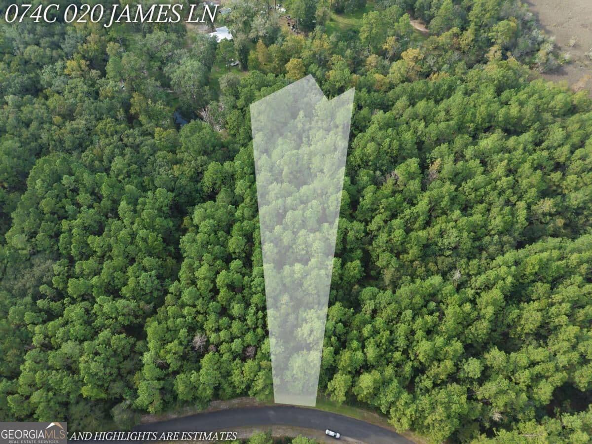 residential lot for sale at LOT 20 James Lane, White Oak, GA 31568 — photo 1 of 12