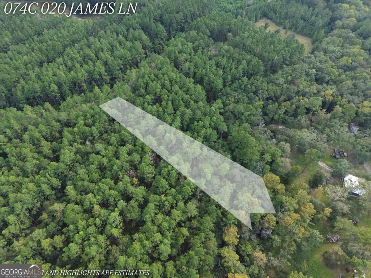 residential lot for sale at LOT 20 James Lane, White Oak, GA 31568 — photo 5