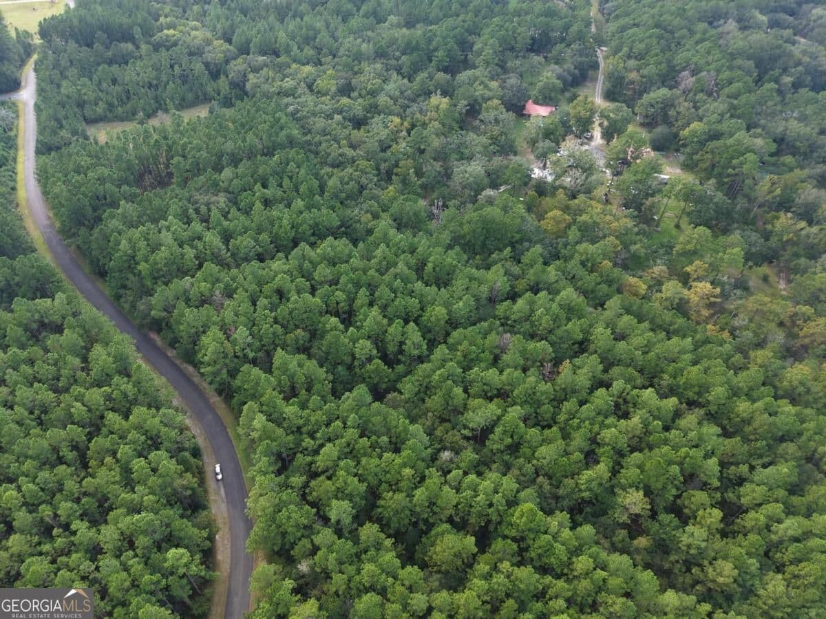 residential lot for sale at LOT 20 James Lane, White Oak, GA 31568 — photo 9