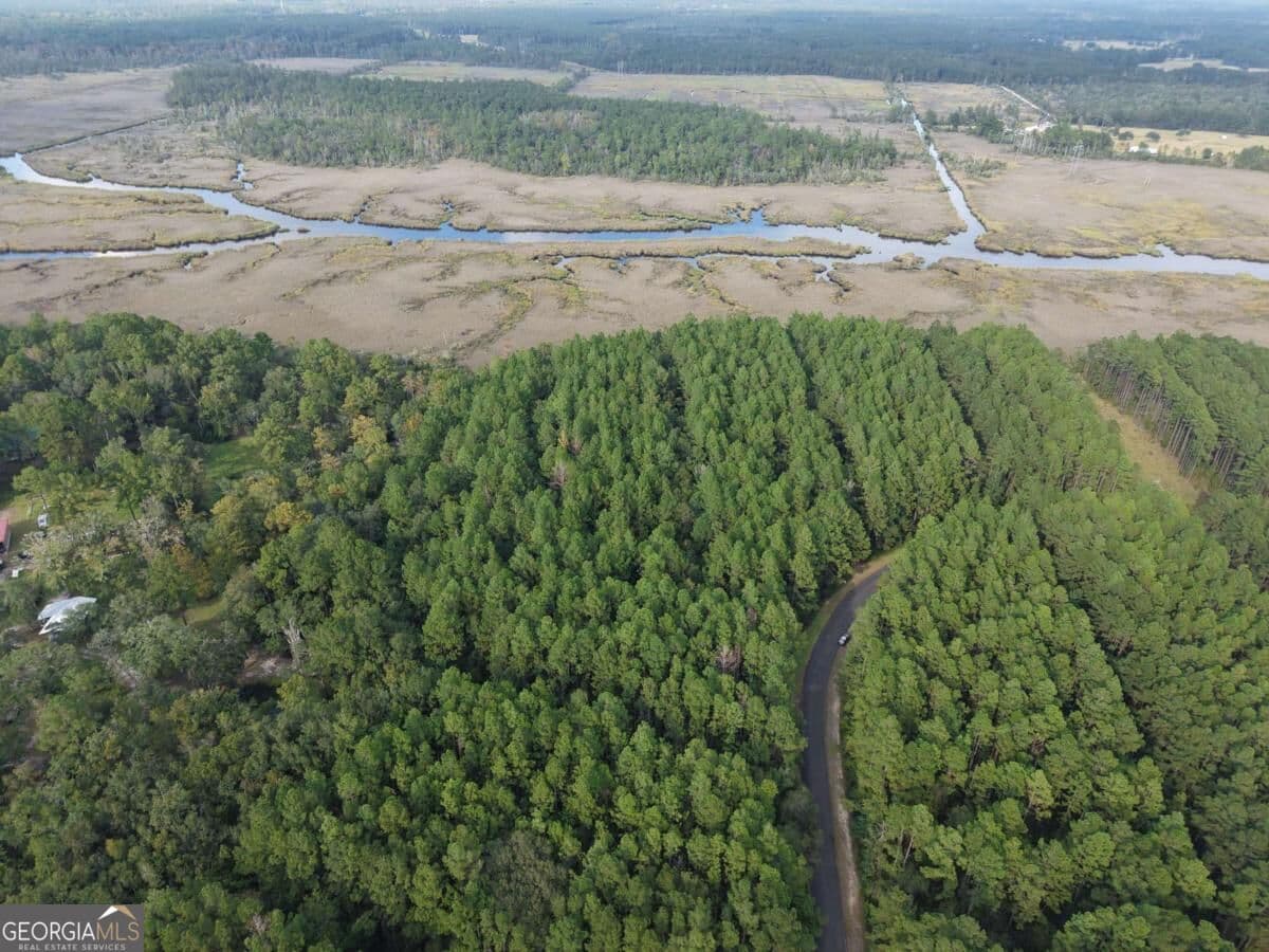 residential lot for sale at LOT 20 James Lane, White Oak, GA 31568 — photo 8
