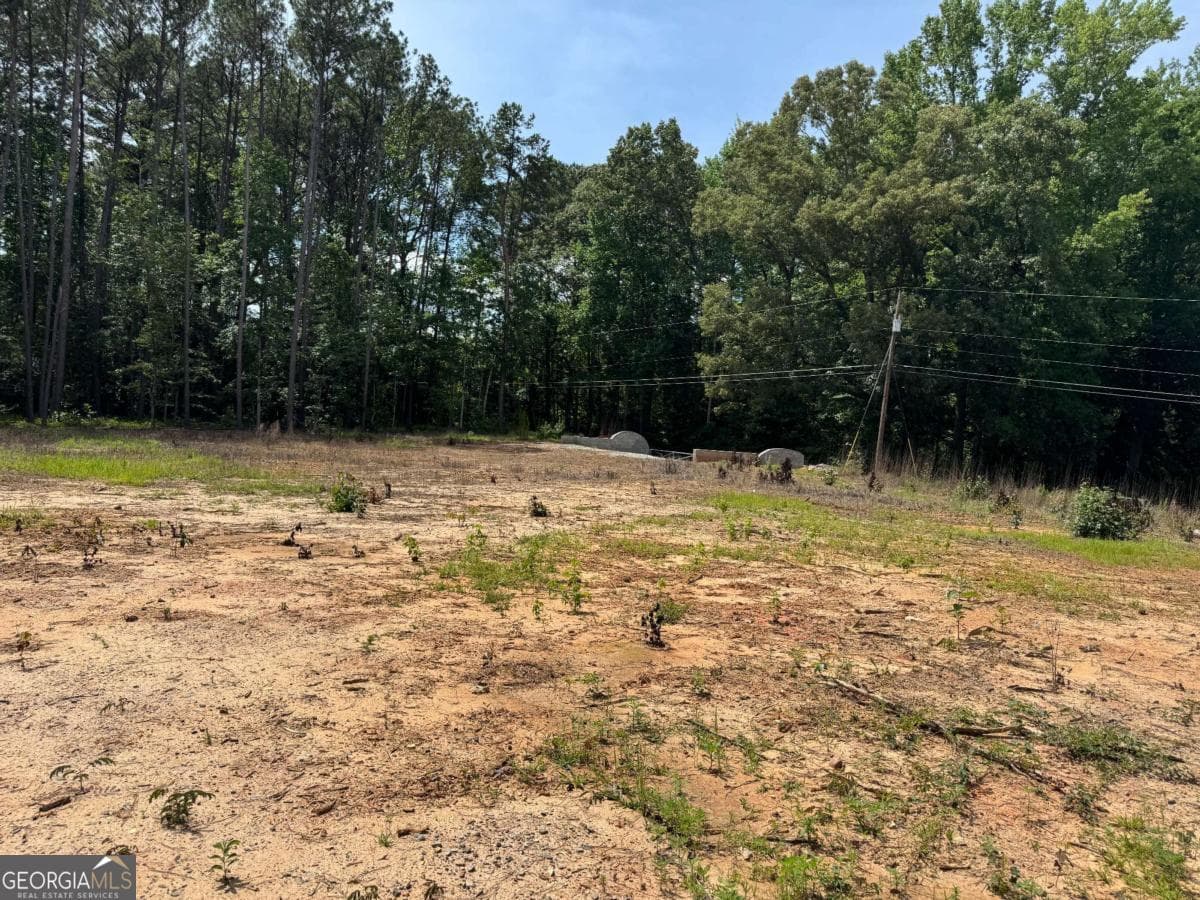 commercial for sale at 0 Kenwood Road, Fayetteville, GA 30214 — photo 3