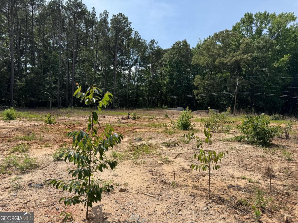commercial for sale at 0 Kenwood Road, Fayetteville, GA 30214 — photo 4