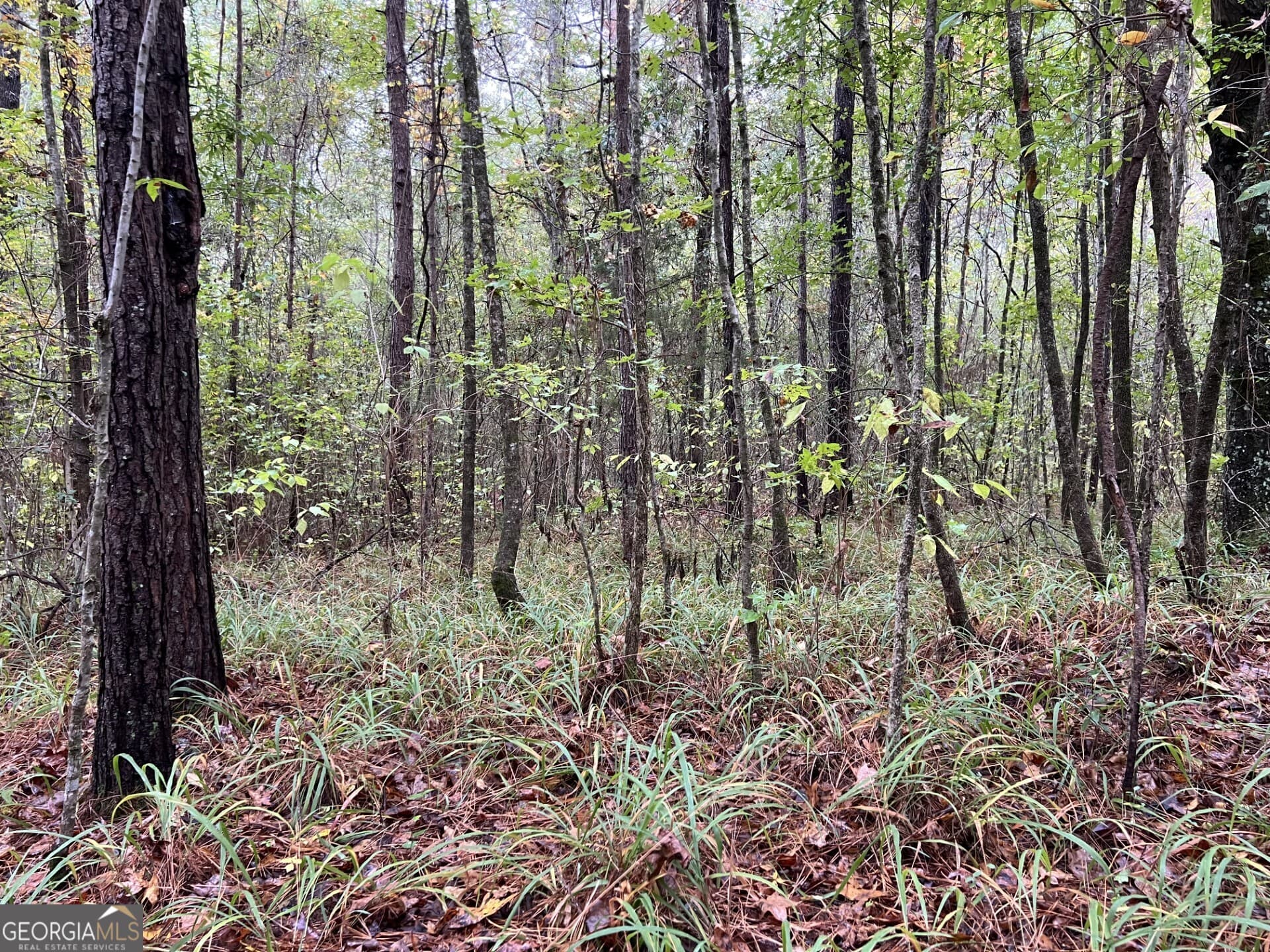 residential lot for sale at 140 Lite N Tie Road, Gray, GA 31032 — photo 3