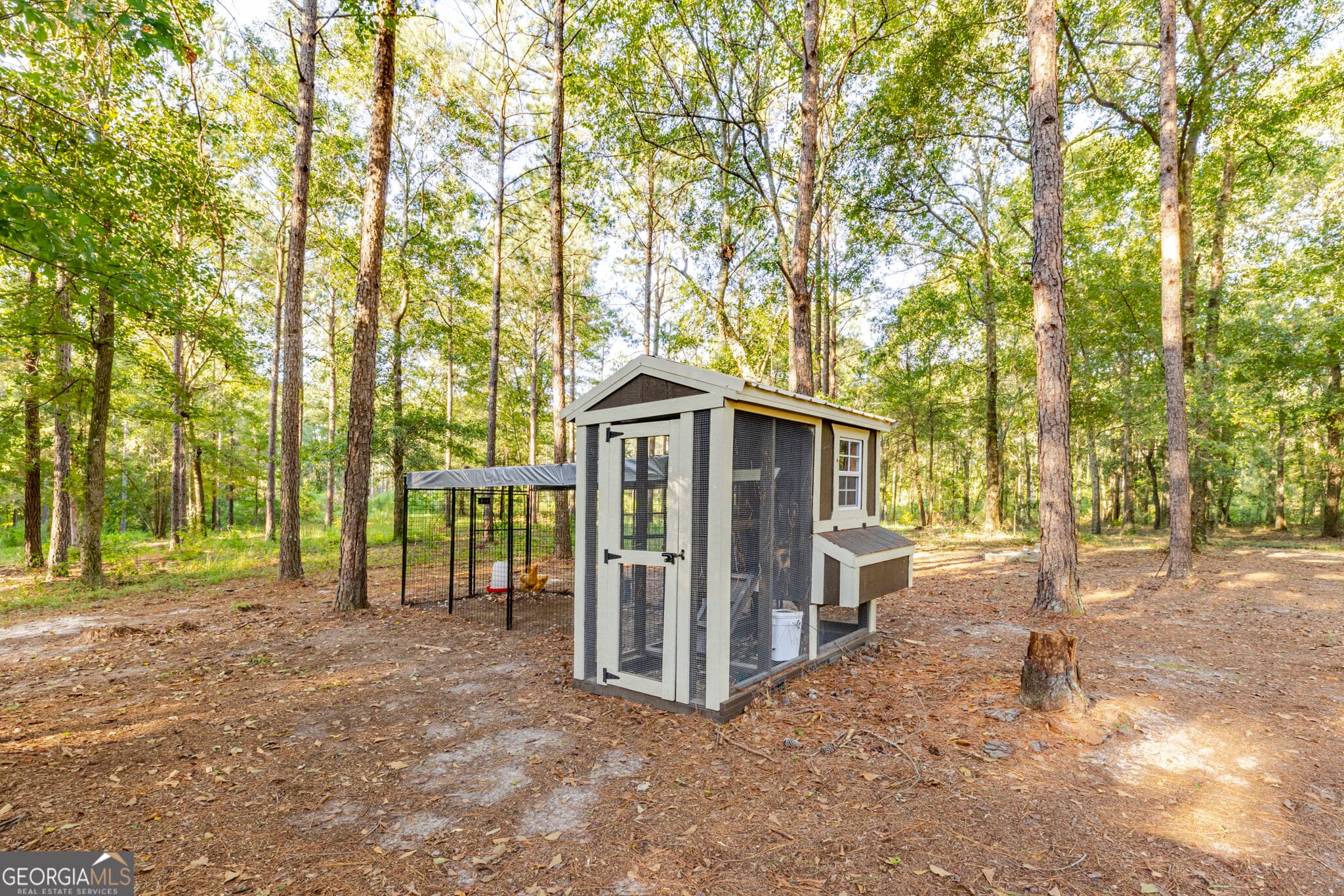 3 bedroom, 2 bathroom, 1,687 sq ft single family residence under contract at 449 Green Road, Ellaville, GA 31806 — photo 7