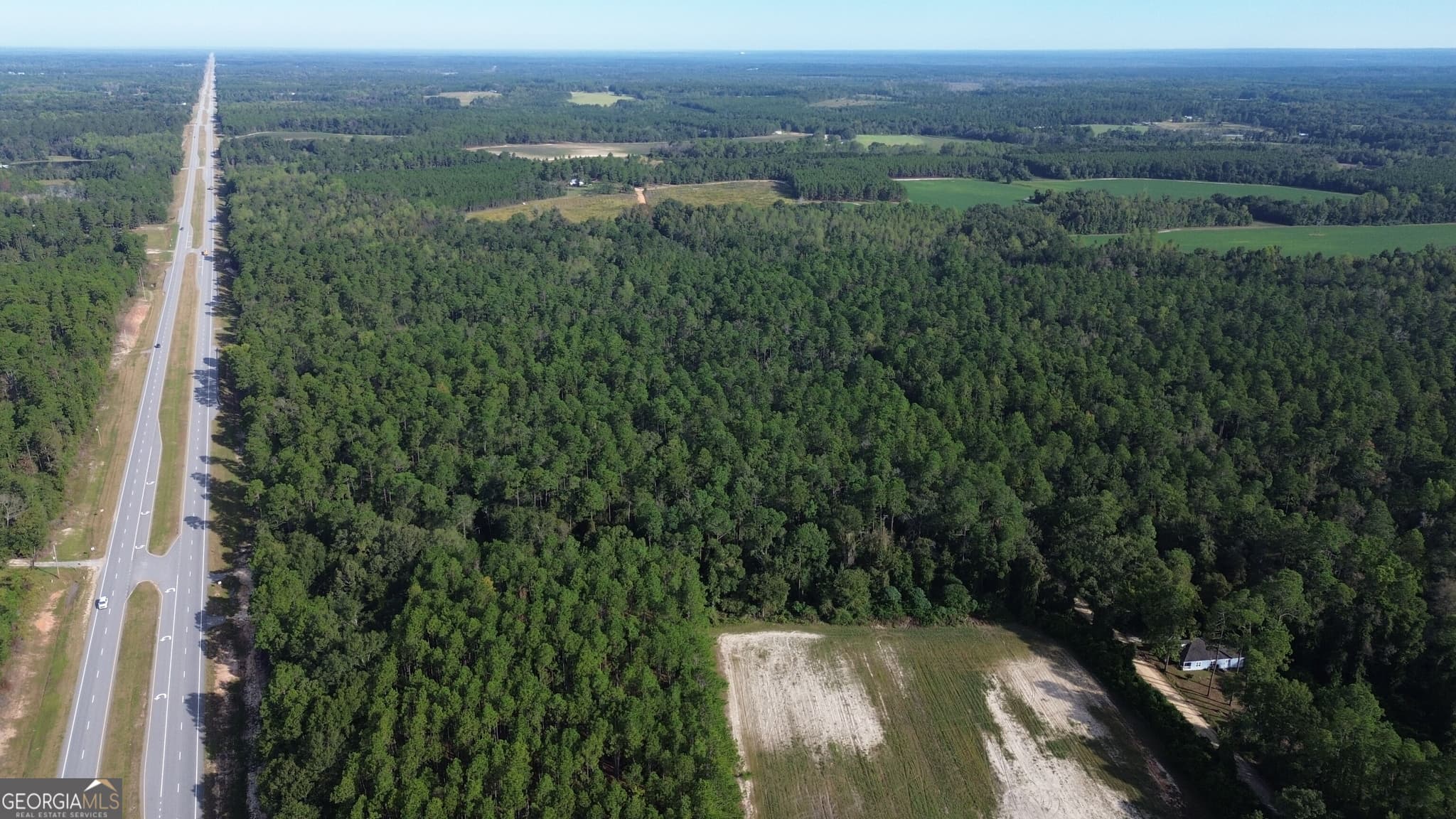 unimproved land for sale at 1 Highway 25, Portal, GA 30450 — photo 2