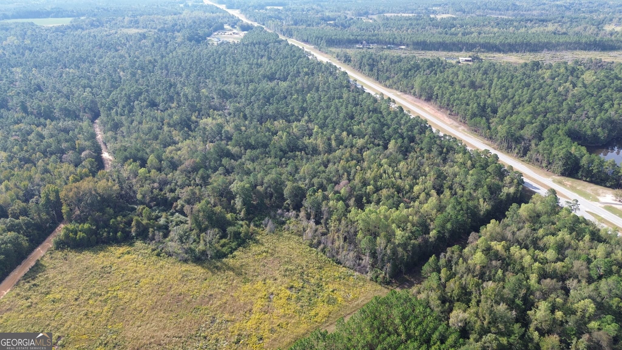 unimproved land for sale at 1 Highway 25, Portal, GA 30450 — photo 6