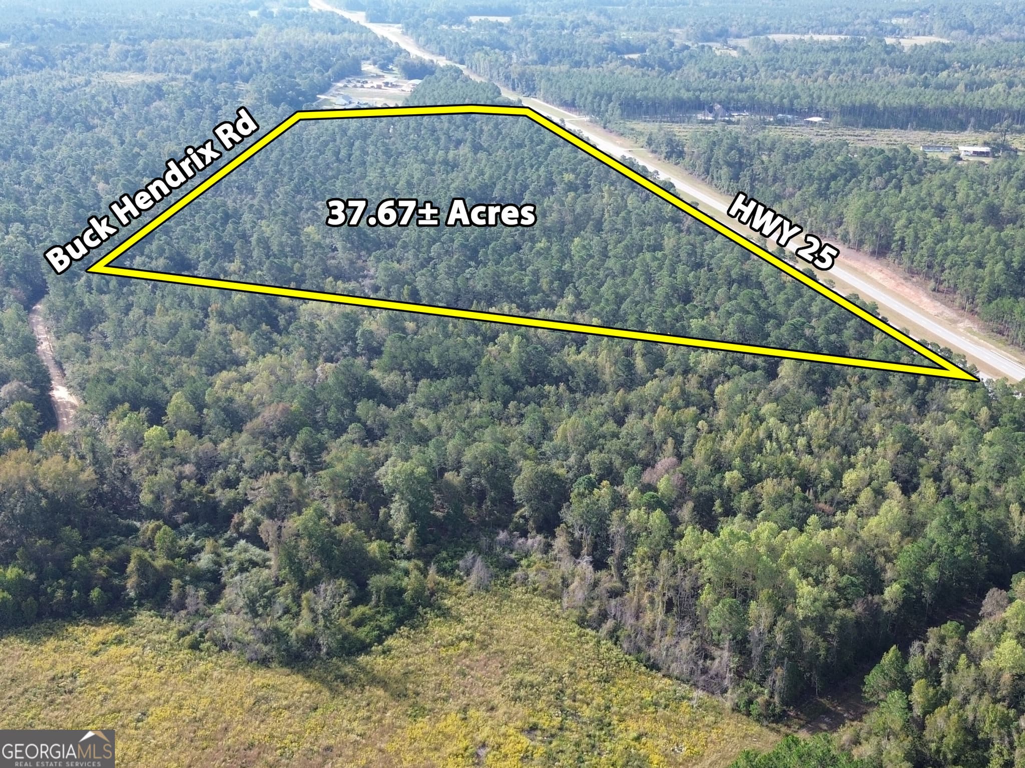 unimproved land for sale at 1 Highway 25, Portal, GA 30450