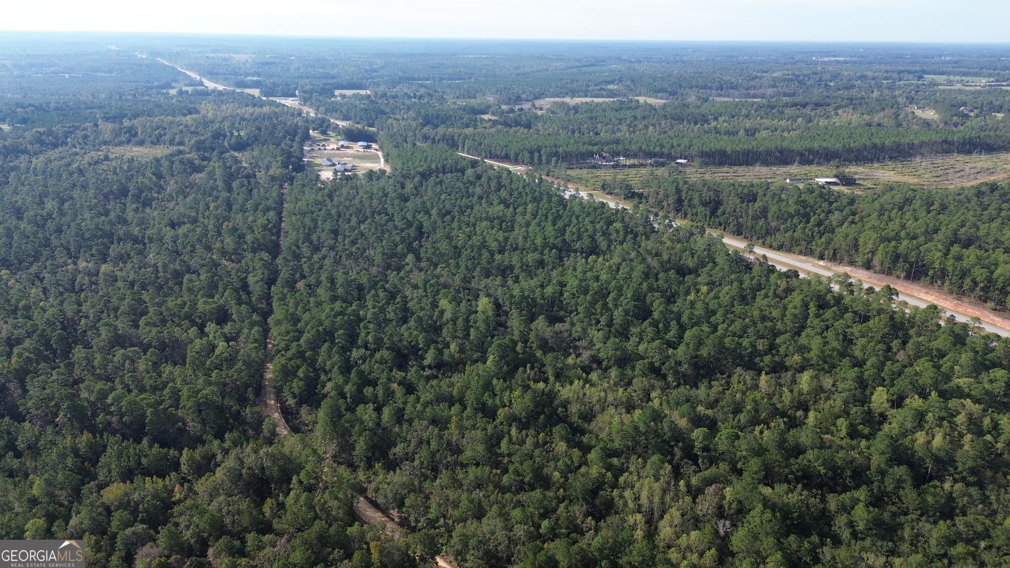 unimproved land for sale at 1 Highway 25, Portal, GA 30450 — photo 5