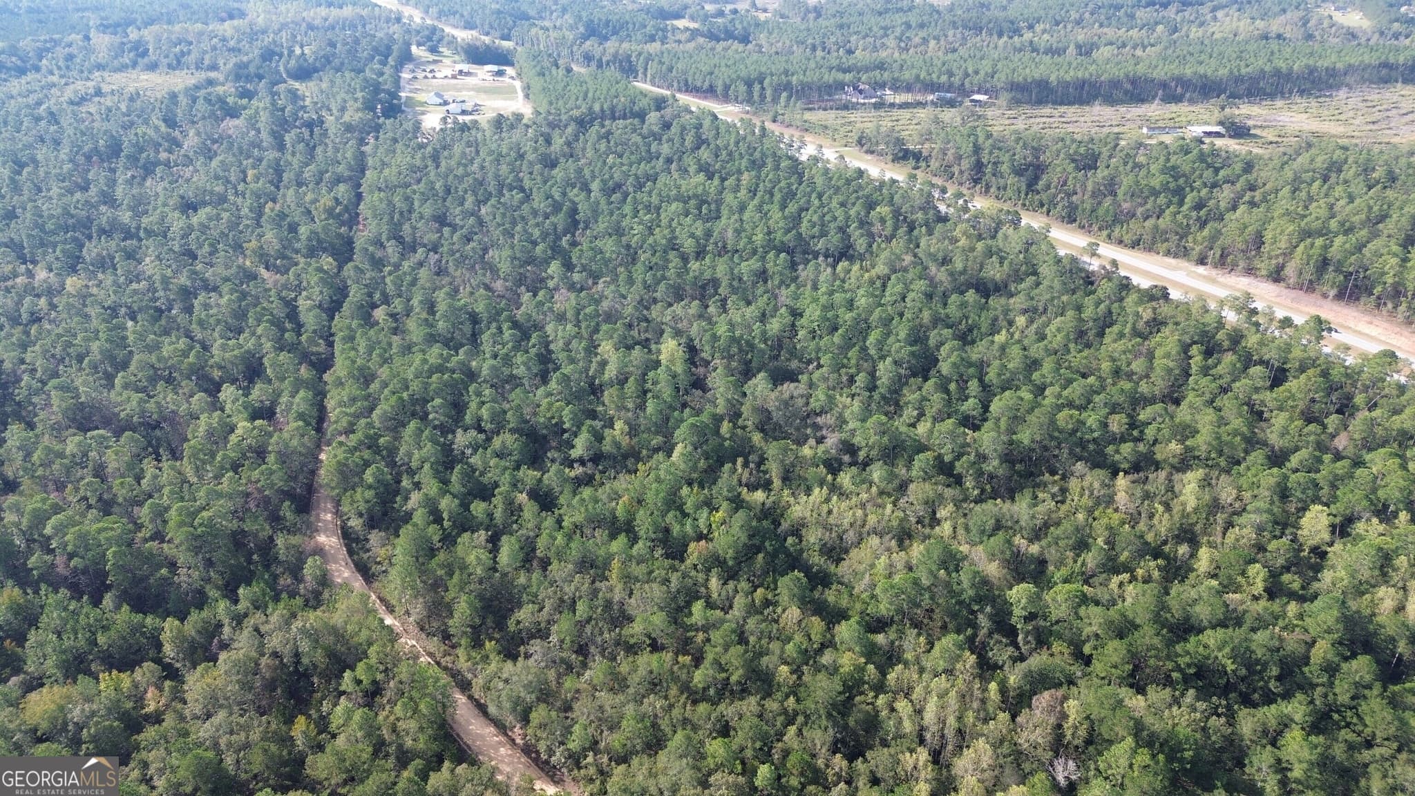 unimproved land for sale at 1 Highway 25, Portal, GA 30450 — photo 4