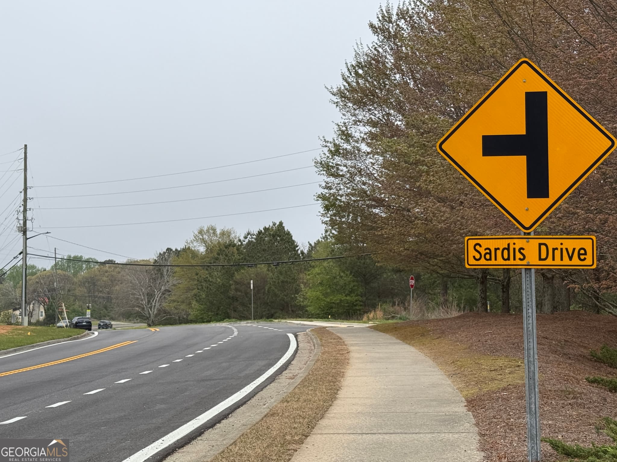 unimproved land for sale at 3550  & 3570 Sardis Church Road, Buford, GA 30518 — photo 5