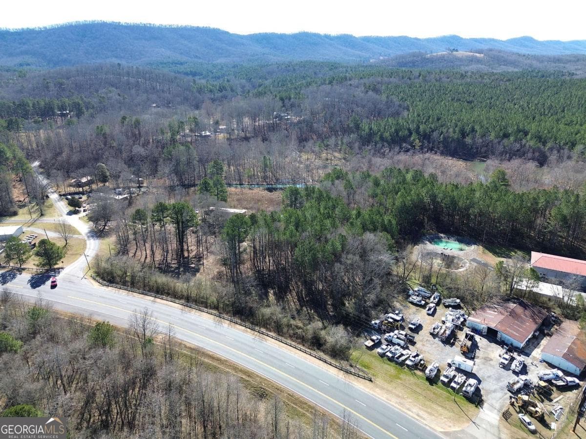 residential lot for sale at 0 Highway 27, Summerville, GA 30747 — photo 3