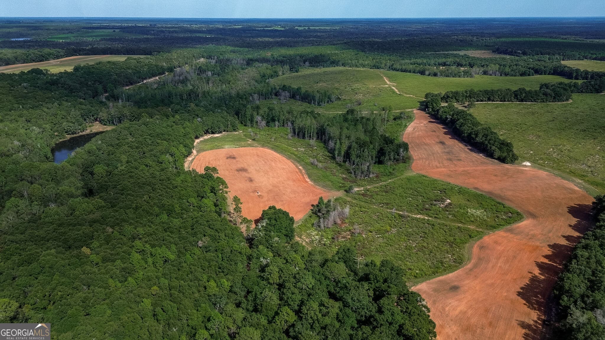 agriculture for sale at 1199 Rural Hill Church Road, Preston, GA 31824 — photo 3