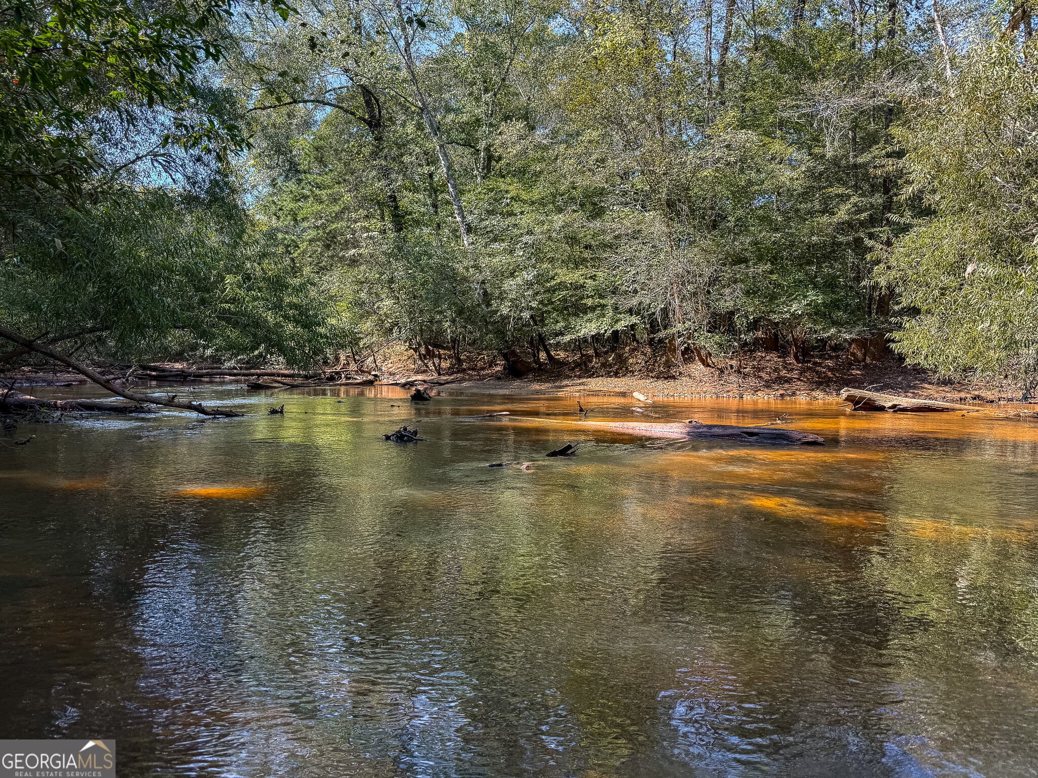 agriculture for sale at 1199 Rural Hill Church Road, Preston, GA 31824 — photo 4