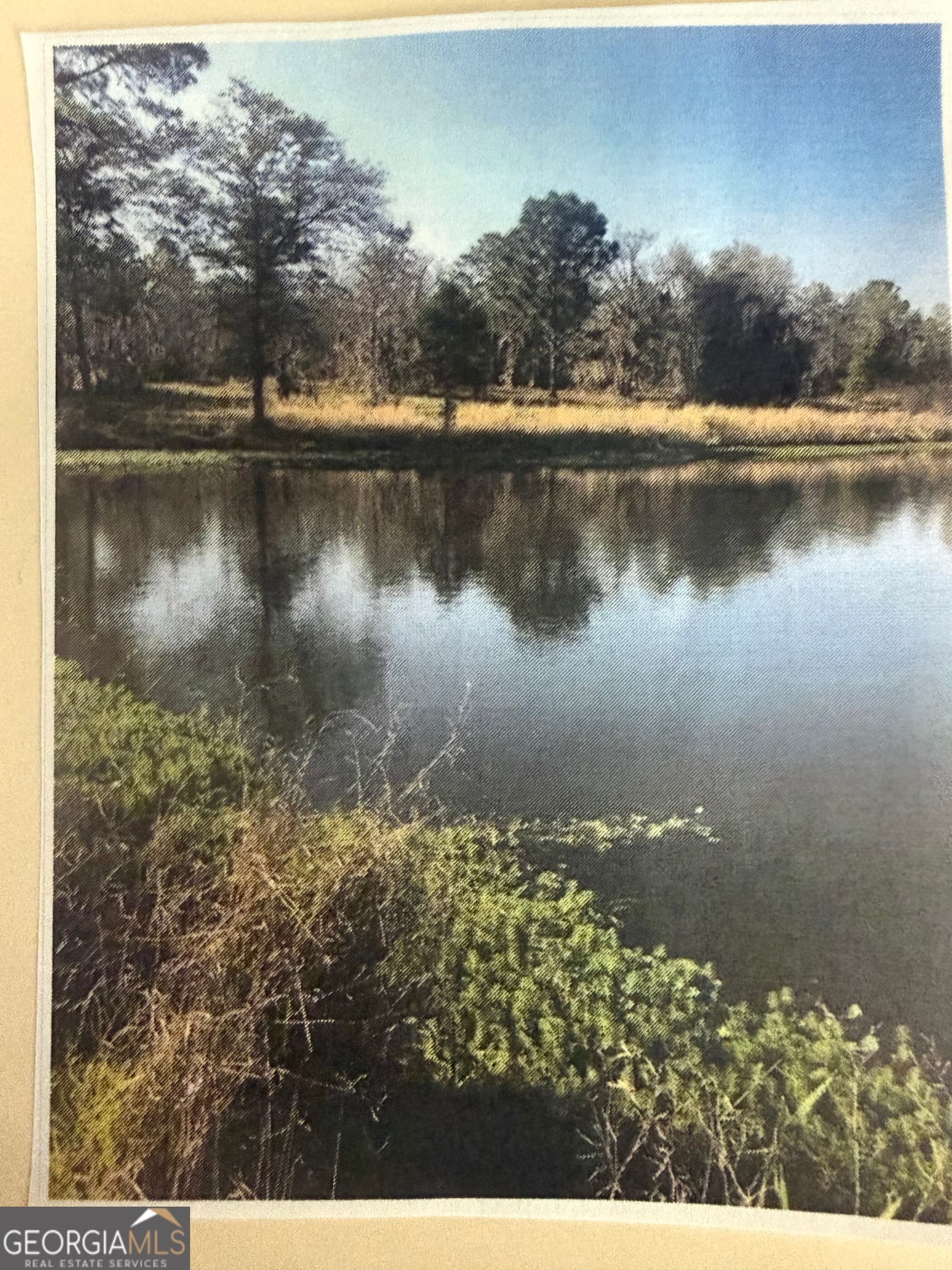 unimproved land for sale at 0 Henry-Mimbs, Hazlehurst, GA 31539