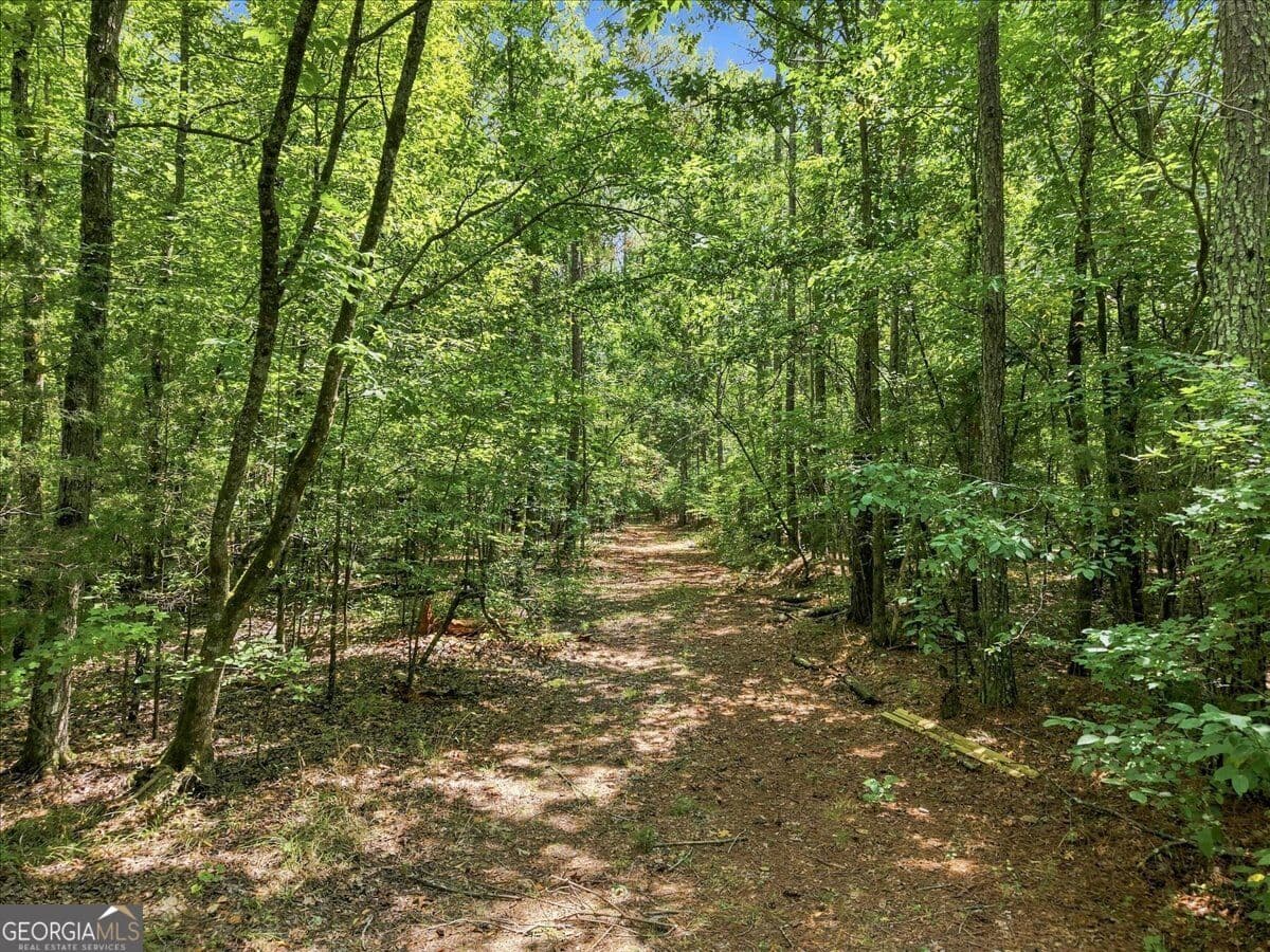 agriculture for sale at 0 Cherokee Road, Elberton, GA 30635 — photo 2