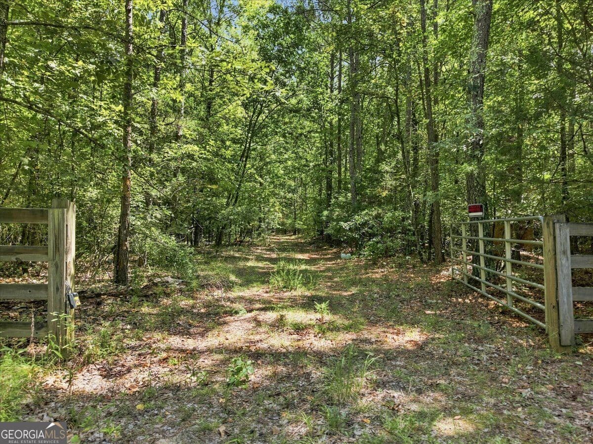 agriculture for sale at 0 Cherokee Road, Elberton, GA 30635 — photo 7