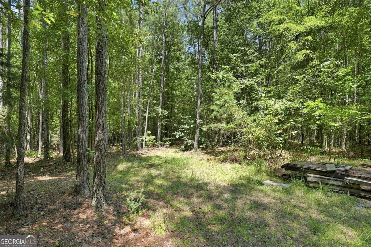 agriculture for sale at 0 Cherokee Road, Elberton, GA 30635 — photo 3