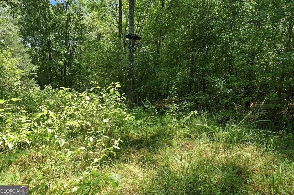 agriculture for sale at 0 Cherokee Road, Elberton, GA 30635 — photo 5